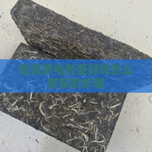普洱茶电煮壶好吗怎么煮茶的步骤
