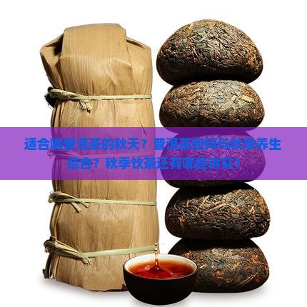 适合喝普洱茶的秋天？普洱茶如何与秋季养生结合？秋季饮茶还有哪些讲究？