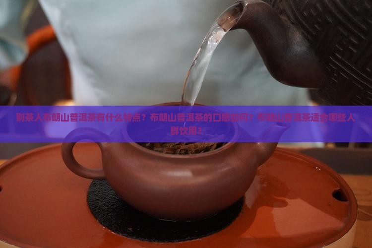 别茶人布朗山普洱茶有什么特点？布朗山普洱茶的口感如何？布朗山普洱茶适合哪些人群饮用？