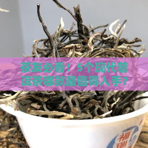 茶友必看！5个现代普洱茶哪款最值得入手？