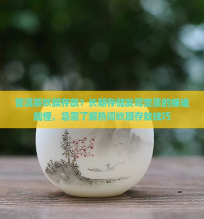 普洱茶吹膜存放？长期存储发霉变质的痛谁能懂，急需了解热词吹膜存放技巧