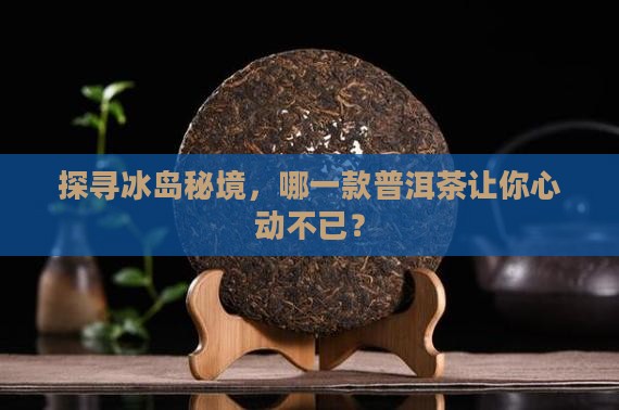 探寻冰岛秘境，哪一款普洱茶让你心动不已？