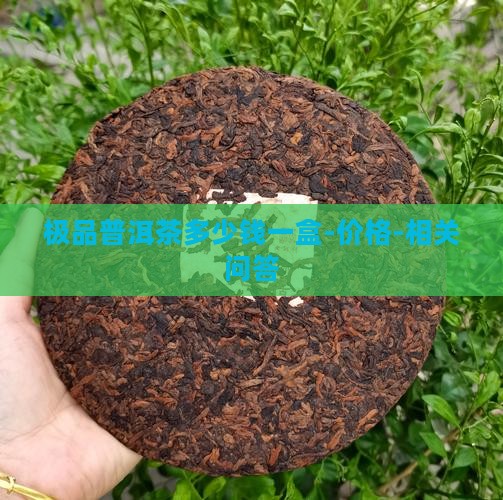 极品普洱茶多少钱一盒-价格-相关问答