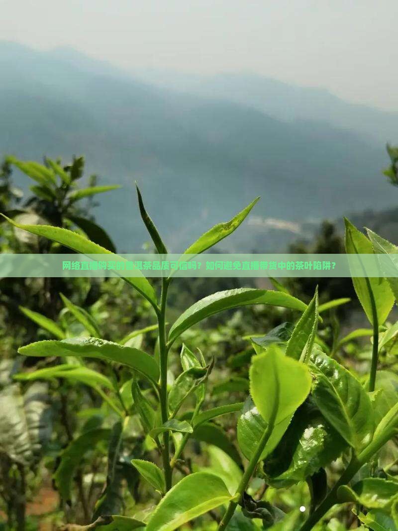网络直播购买的普洱茶品质可信吗？如何避免直播带货中的茶叶陷阱？