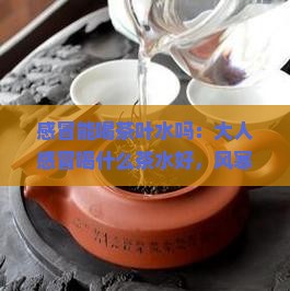 感冒能喝茶叶水吗：大人感冒喝什么茶水好，风寒忌三种茶，可否喝莓茶？