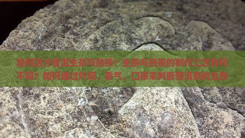 如何区分普洱生茶与熟茶？生茶与熟茶的制作工艺有何不同？如何通过外观、香气、口感来判断普洱茶的生熟？
