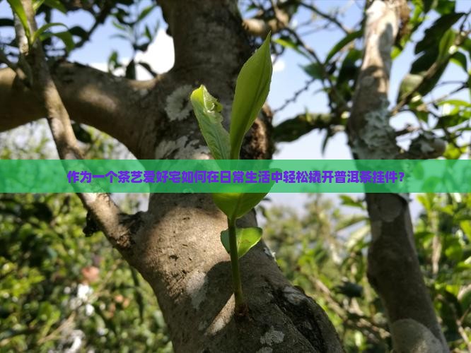 作为一个茶艺爱好宅如何在日常生活中轻松撬开普洱茶挂件？