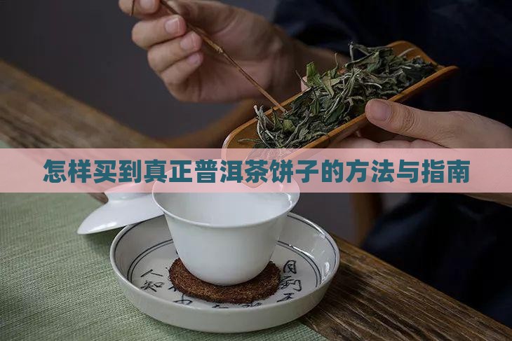 怎样买到真正普洱茶饼子的方法与指南