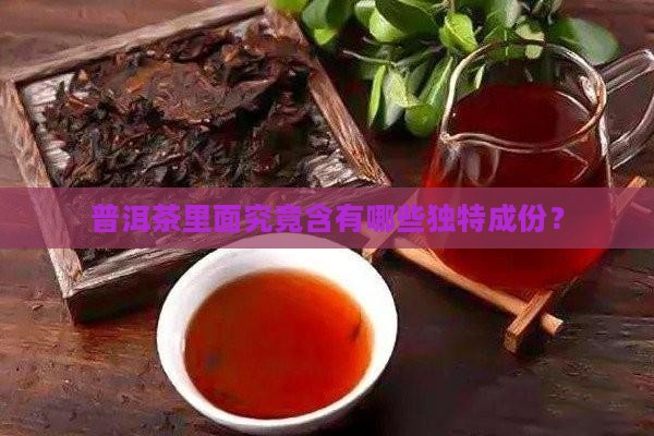 普洱茶里面究竟含有哪些独特成份？