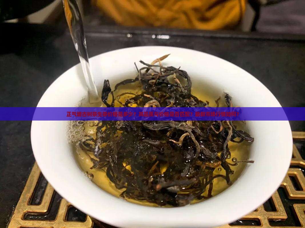 正气塘古树茶生茶价格是多少？其品质与价格是否匹配？最新市场行情如何？