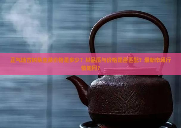 正气塘古树茶生茶价格是多少？其品质与价格是否匹配？最新市场行情如何？