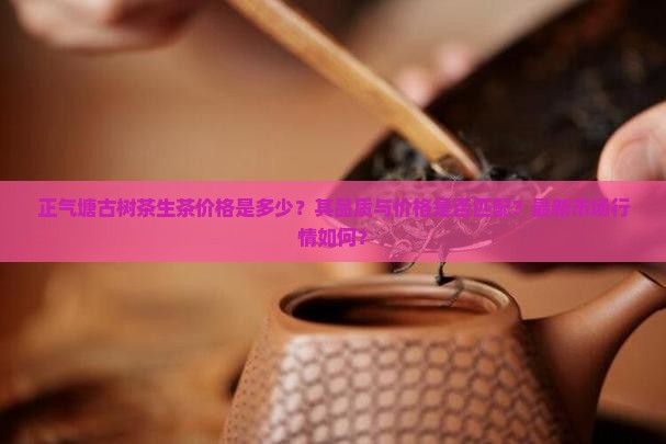正气塘古树茶生茶价格是多少？其品质与价格是否匹配？最新市场行情如何？