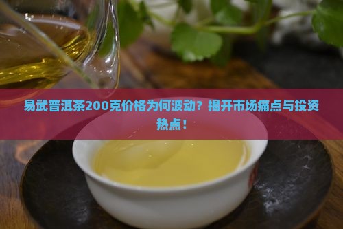 易武普洱茶200克价格为何波动？揭开市场痛点与投资热点！