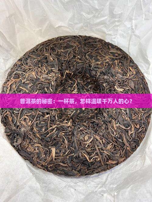 普洱茶的秘密：一杯茶，怎样温暖千万人的心？