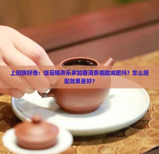 上班族好奇：饭后喝养乐多加普洱茶能助减肥吗？怎么搭配效果更好？