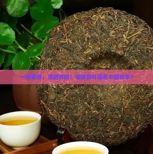 一缕茶香，满庭芳韵：哪家茶叶藏着中国故事？