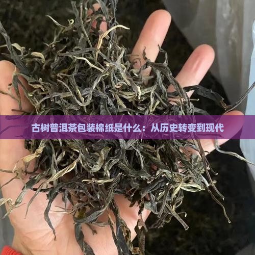 古树普洱茶包装棉纸是什么：从历史转变到现代