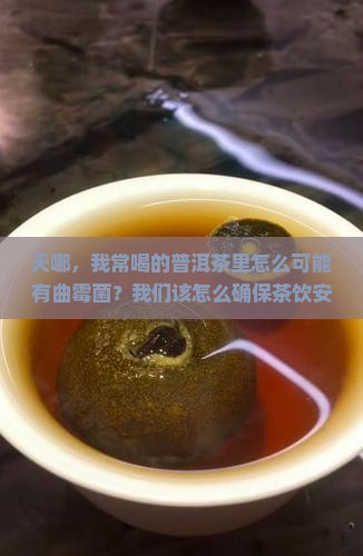天哪，我常喝的普洱茶里怎么可能有曲霉菌？我们该怎么确保茶饮安全？