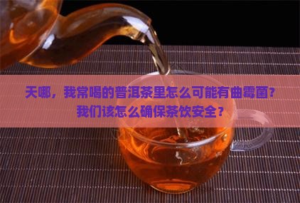 天哪，我常喝的普洱茶里怎么可能有曲霉菌？我们该怎么确保茶饮安全？