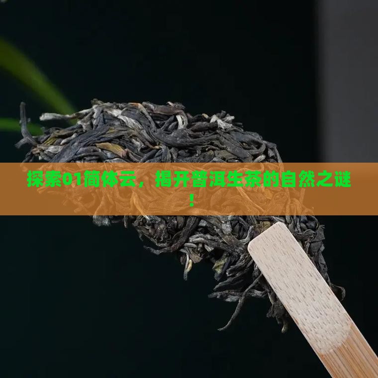 探索01简体云，揭开普洱生茶的自然之谜！