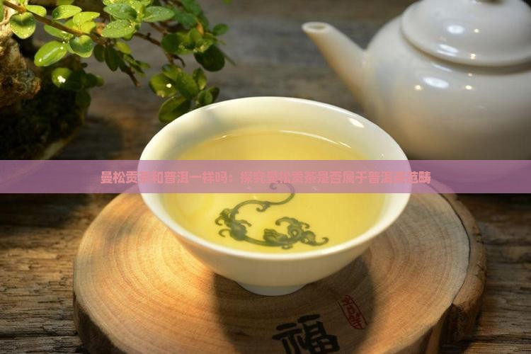 曼松贡茶和普洱一样吗：探究曼松贡茶是否属于普洱茶范畴