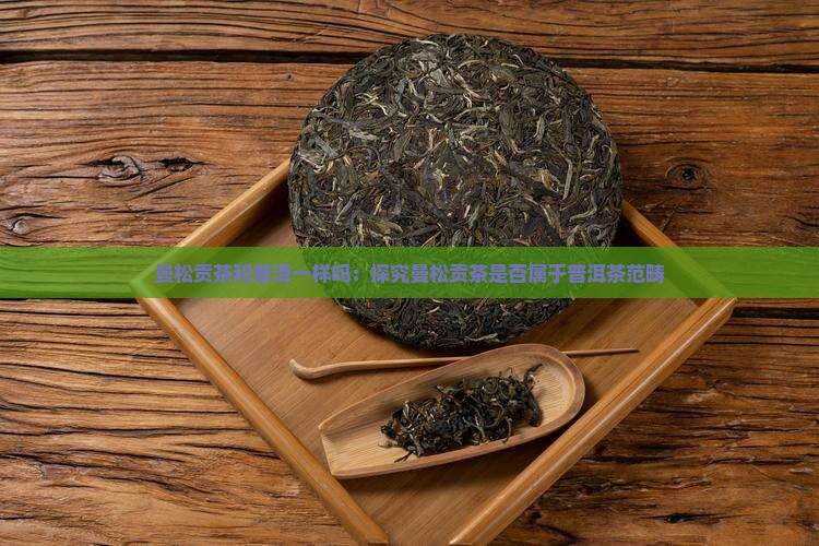 曼松贡茶和普洱一样吗：探究曼松贡茶是否属于普洱茶范畴