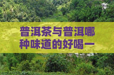 普洱茶与普洱哪种味道的好喝一点
