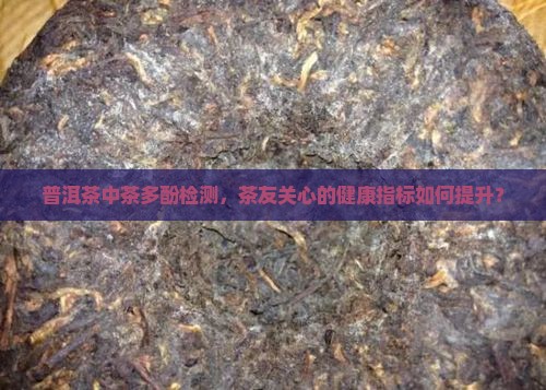 普洱茶中茶多酚检测，茶友关心的健康指标如何提升？