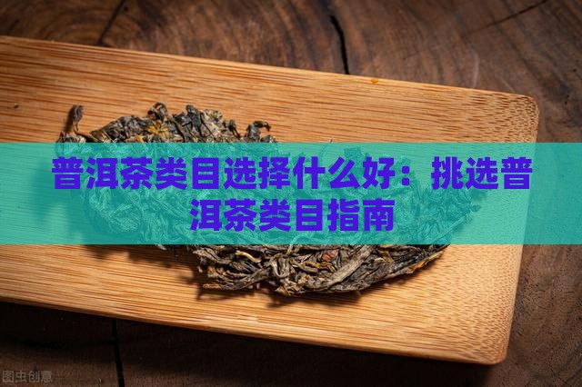 普洱茶类目选择什么好：挑选普洱茶类目指南