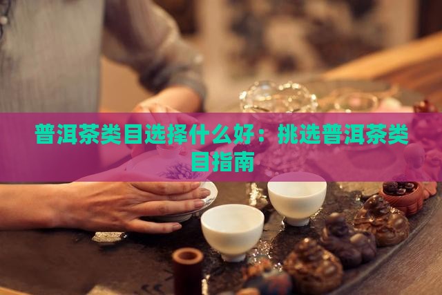 普洱茶类目选择什么好：挑选普洱茶类目指南
