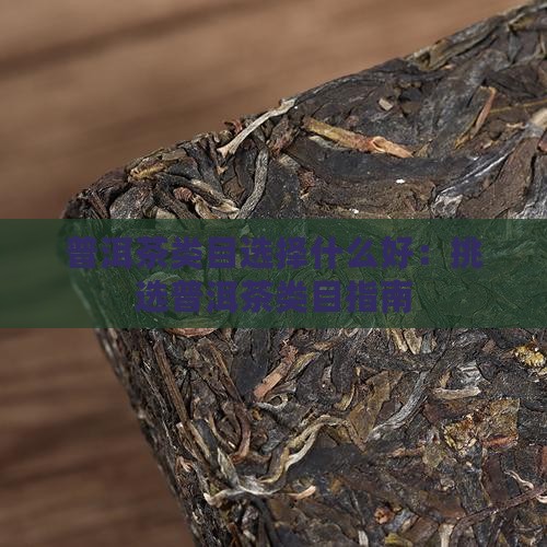 普洱茶类目选择什么好：挑选普洱茶类目指南