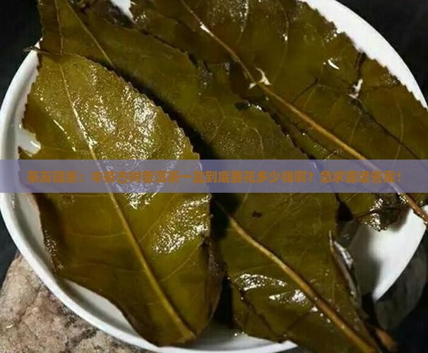 茶友疑惑：中茶古树普洱茶一盒到底要花多少钱啊？急求靠谱答案！