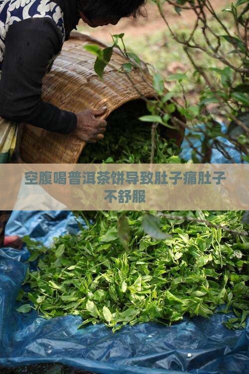 空腹喝普洱茶饼导致肚子痛肚子不舒服