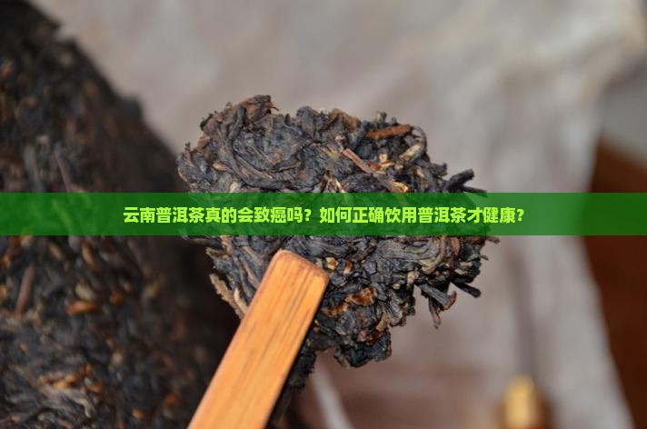 云南普洱茶真的会致癌吗？如何正确饮用普洱茶才健康？