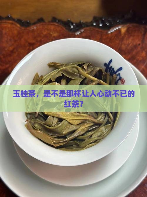 玉桂茶，是不是那杯让人心动不已的红茶？