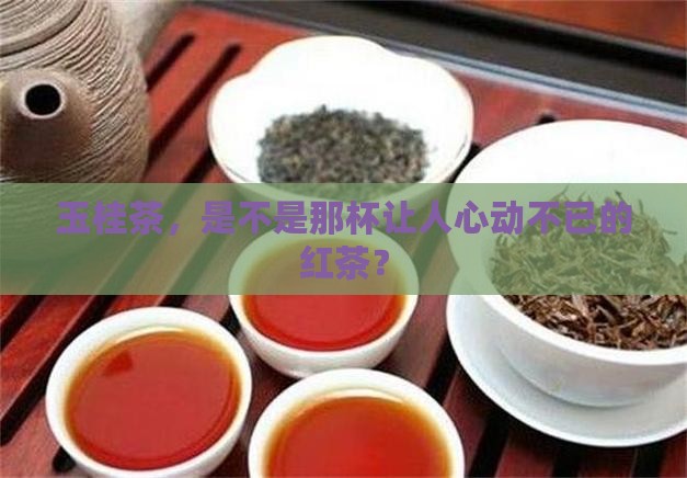 玉桂茶，是不是那杯让人心动不已的红茶？