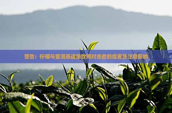 警告：柠檬与普洱茶适量饮用对患者的危害及注意影响