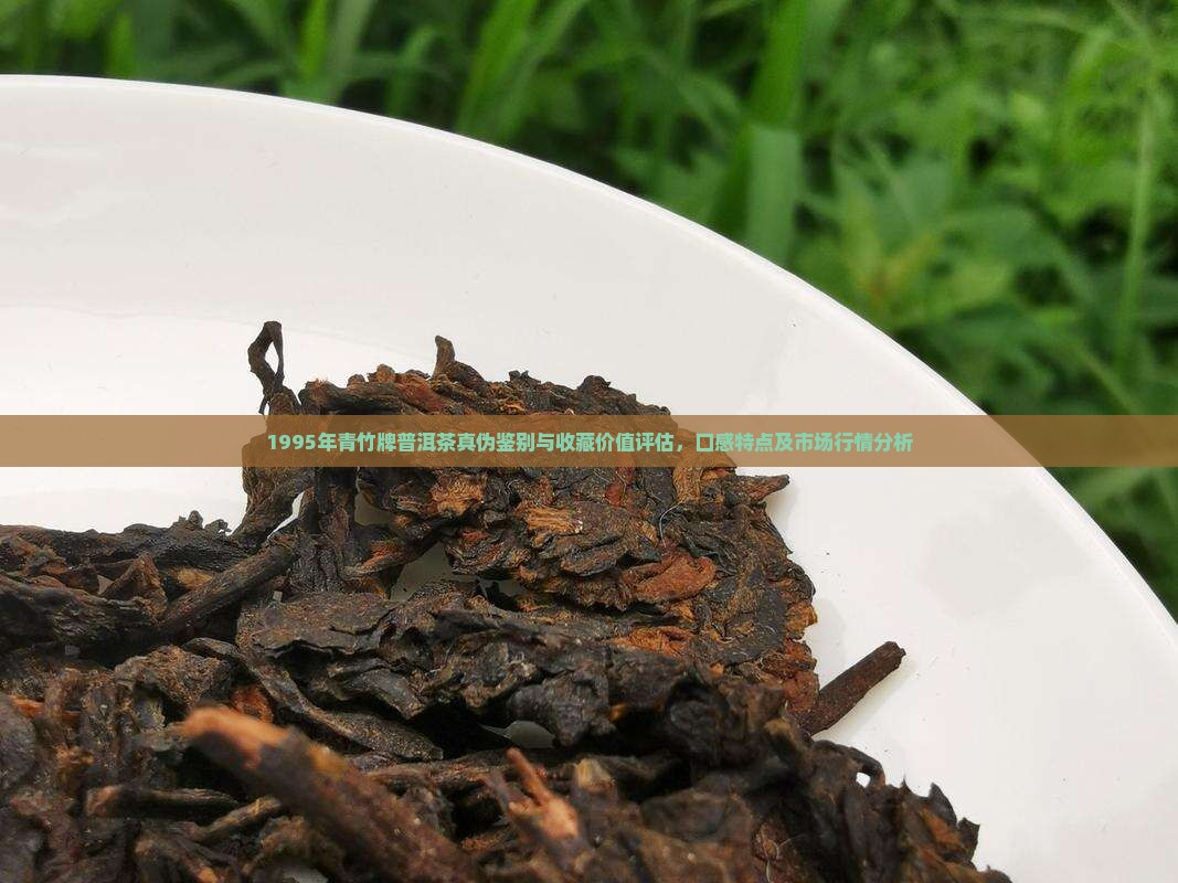 1995年青竹牌普洱茶真伪鉴别与收藏价值评估，口感特点及市场行情分析
