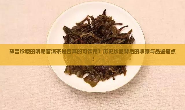 故宫珍藏的明朝普洱茶是否真的可饮用？历史珍品背后的收藏与品鉴痛点！
