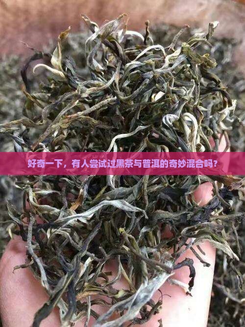 好奇一下，有人尝试过黑茶与普洱的奇妙混合吗？