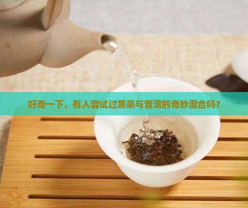 好奇一下，有人尝试过黑茶与普洱的奇妙混合吗？