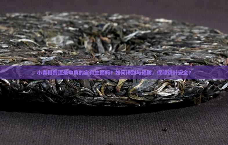 小青柑普洱茶中真的含有生菌吗？如何辨别与预防，保障茶叶安全？