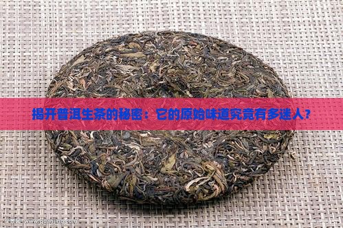 揭开普洱生茶的秘密：它的原始味道究竟有多迷人？