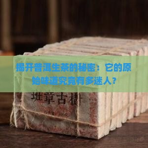 揭开普洱生茶的秘密：它的原始味道究竟有多迷人？