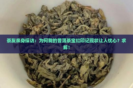 茶友亲身探访：为何我的普洱茶宝红印记现状让人忧心？求解！