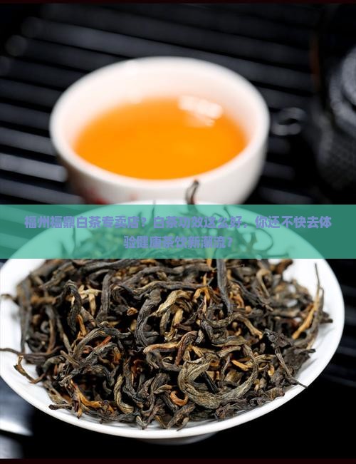 福州福鼎白茶专卖店？白茶功效这么好，你还不快去体验健康茶饮新潮流？