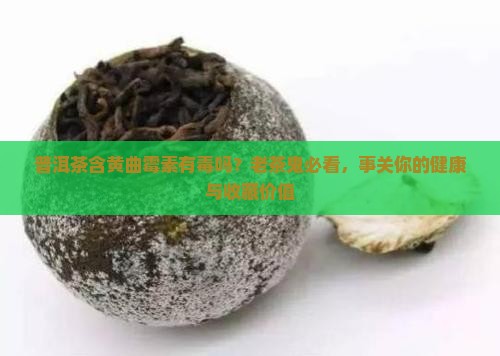普洱茶含黄曲霉素有毒吗？老茶鬼必看，事关你的健康与收藏价值