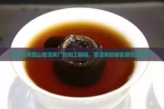 探寻云南西山普洱茶厂的加工秘籍，普洱茶的秘密藏在这里吗？