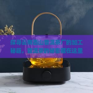 探寻云南西山普洱茶厂的加工秘籍，普洱茶的秘密藏在这里吗？