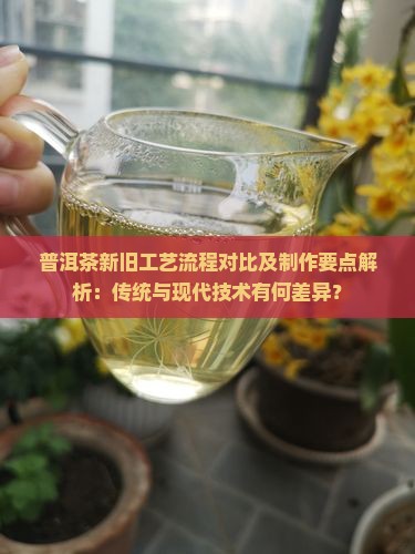 普洱茶新旧工艺流程对比及制作要点解析：传统与现代技术有何差异？